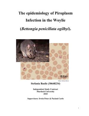 The Epidemiology of Piroplasm Infection in the Woylie (Bettongia