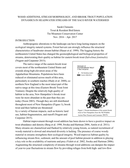 Woody Additions in Saco River Watershed