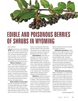 Edible and Poisonous Berries of Shrubs in Wyoming