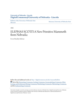 ELEPHAS SCOTTI a New Primitive Mammoth from Nebraska