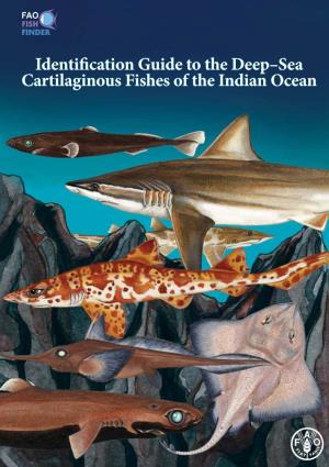 Identification Guide to the Deep-Sea Cartilaginous Fishes of the Indian