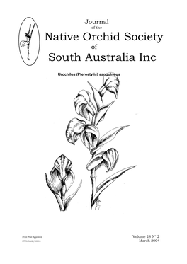 Dendrobium Bigibbum Len Field 17 Flora of Australia Online 19