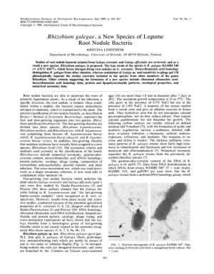 Rhizobium Galegae, a New Species of Legume Root Nodule Bacteria KRISTINA LINDSTROM Department of Microbiology, University Qf Helsinki, SF-00710 Helsinki, Finland