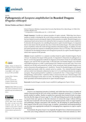 Pathogenesis of Isospora Amphiboluri in Bearded Dragons (Pogona Vitticeps)