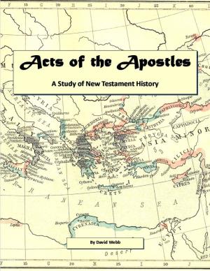 Acts of the Apostles – Study Guide