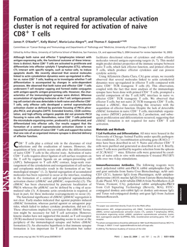 Formation of a Central Supramolecular Activation Cluster Is Not Required for Activation of Naive CD8؉ T Cells