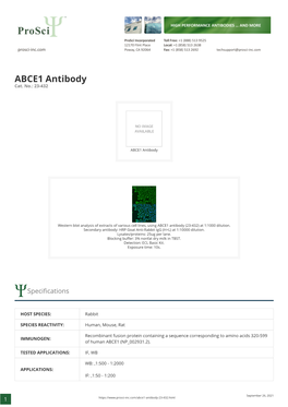 ABCE1 Antibody Cat