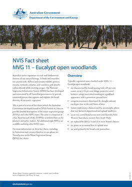 Eucalypt Open Woodlands