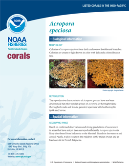 Acropora Speciosa :: Biological Information