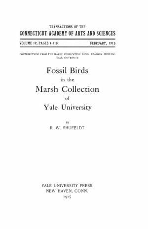 Fossil Birds in the Marsh Collection of Yale University 7