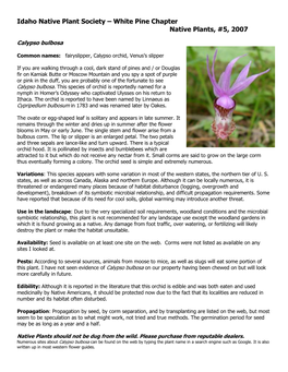 Calypso Bulbosa Species Sheet