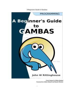 A Beginner's Guide to Gambas