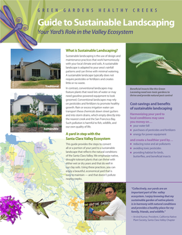 Guide to Sustainable Landscaping Your Yard’S Role in the Valley Ecosystem