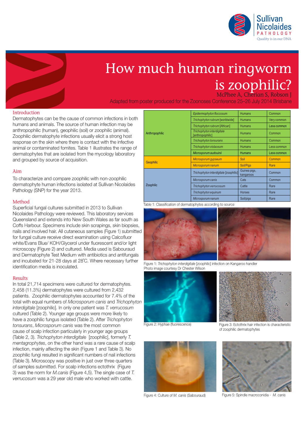 How Much Human Ringworm Is Zoophilic? Mcphee A, Cherian S, Robson J Adapted from Poster Produced for the Zoonoses Conference 25–26 July 2014 Brisbane