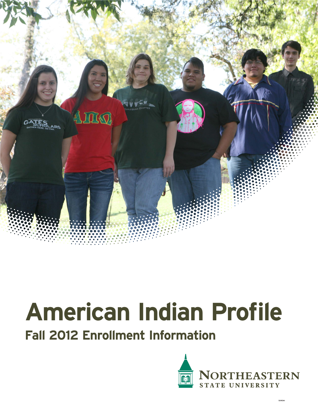 American Indian Profile