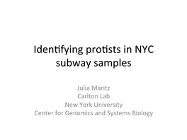 Iden\Fying Pro\Sts in NYC Subway Samples