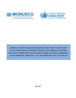 Report on the Investigation Missions of the United Nations Joint