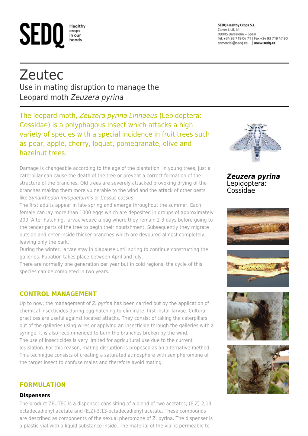 Zeutec Use in Mating Disruption to Manage the Leopard Moth Zeuzera Pyrina