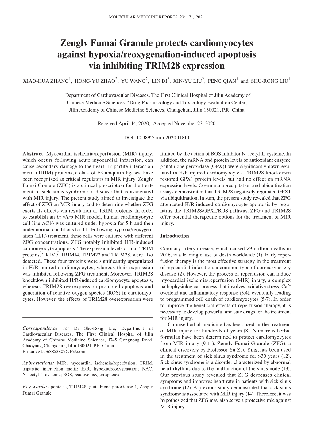 Zenglv Fumai Granule Protects Cardiomyocytes Against Hypoxia/Reoxygenation-Induced Apoptosis Via Inhibiting TRIM28 Expression