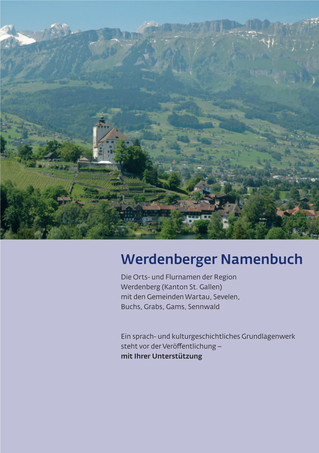 Werdenberger Namenbuch Die Orts- Und Flurnamen Der Region Werdenberg (Kanton St