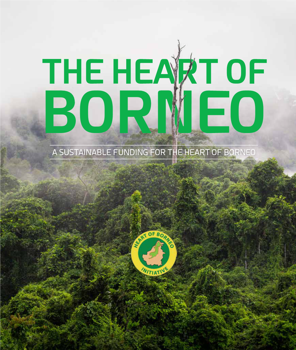 A Sustainable Funding for the Heart of Borneo