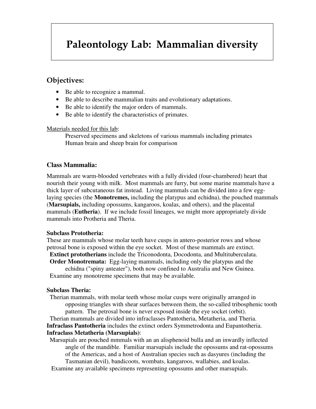 Paleontology Lab: Mammalian Diversity