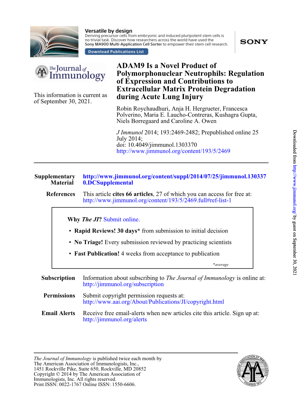 During Acute Lung Injury Extracellular Matrix Protein Degradation Of