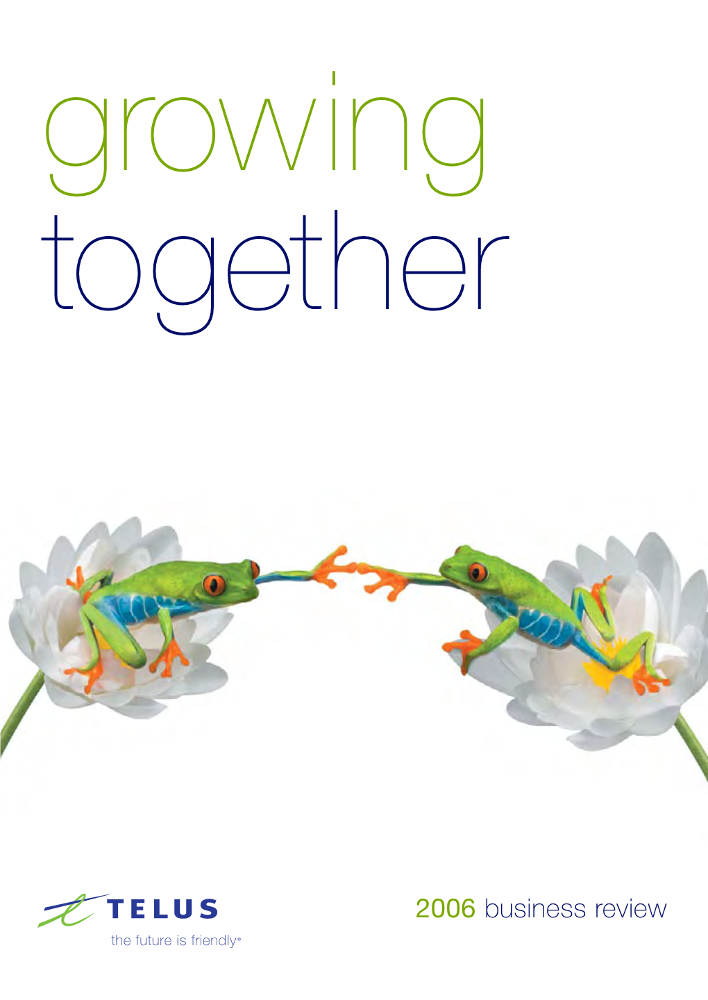 2006 Business Review Growing Together