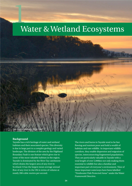 Water & Wetland Ecosystems