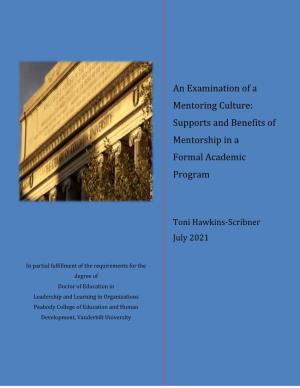 An Examination of a Mentoring Culture: Supports and Benefits of Mentorship in a Formal Academic Program