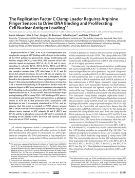 The Replication Factor C Clamp Loader Requires Arginine Finger Sensors to Drive DNA Binding and Proliferating Cell Nuclear Antig