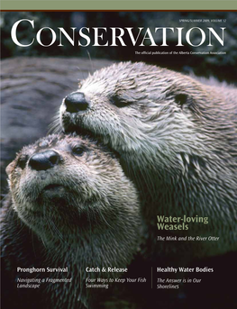 Water-Loving Weasels: the Mink and the River Otter on Page 10, Dr