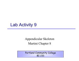 Lab Activity 9
