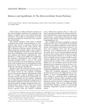 Balance and Equilibrium, II: the Retrovestibular Neural Pathway