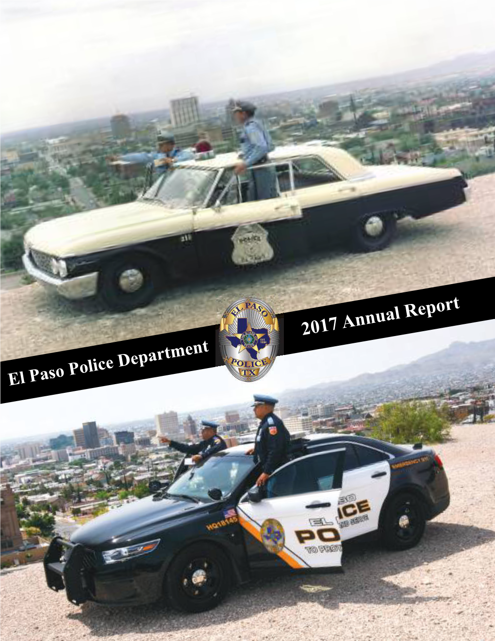 2017 Annual Report