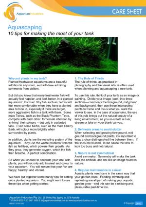 Aquascaping 10 Tips for Making the Most of Your Tank