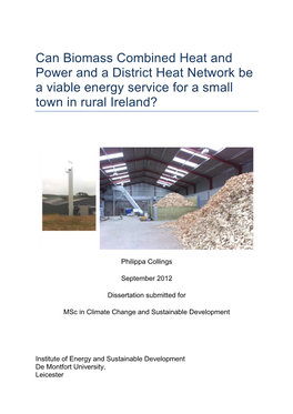 Can Biomass Combined Heat and Power and a District Heat Network Be a Viable Energy Service for a Small Town in Rural Ireland?