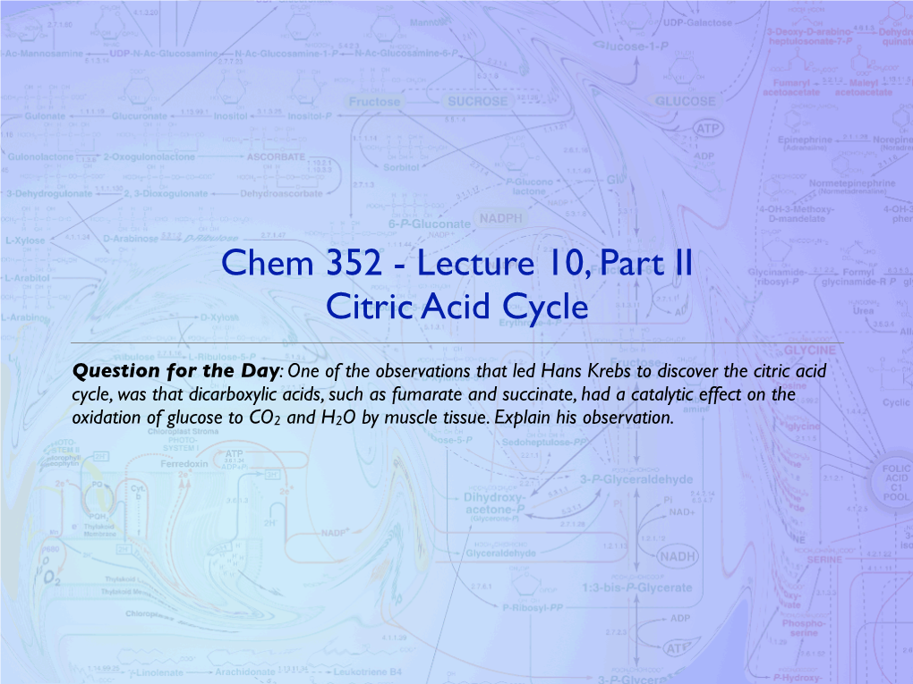 Chem 352 - Lecture 10, Part II Citric Acid Cycle