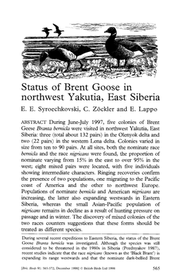 Status of Brent Goose in Northwest Yakutia3 East Siberia E