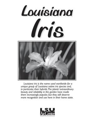 Louisiana Iris Is the Name Used Worldwide for a Unique Group of Louisiana Native Iris Species And, in Particular, Their Hybrids