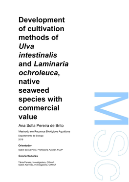 Development of Cultivation Methods of Ulva Intestinalis and Laminaria Ochroleuca, Native Seaweed Species with Commercial Value