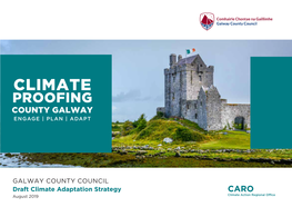 Draft Climate Adaptation Strategy CARO August 2019 Climate Action Regional Office 2 ACKNOWLEDGEMENTS