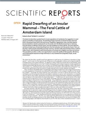 Rapid Dwarfing of an Insular Mammal – the Feral Cattle of Amsterdam