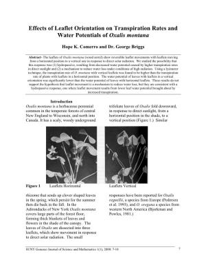 Effects of Leaflet Orientation on Transpiration Rates and Water Potentials of Oxalis Montana