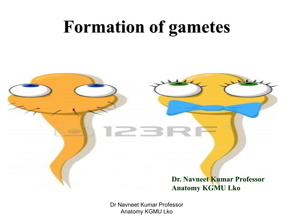 Formation of Gametes [PDF]