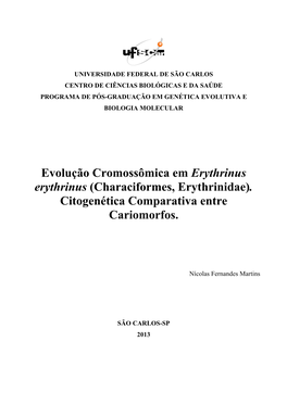 Evolução Cromossômica Em Erythrinus Erythrinus (Characiformes, Erythrinidae)