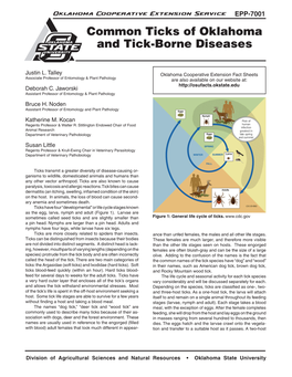 Common Ticks of Oklahoma and Tick-Borne Diseases