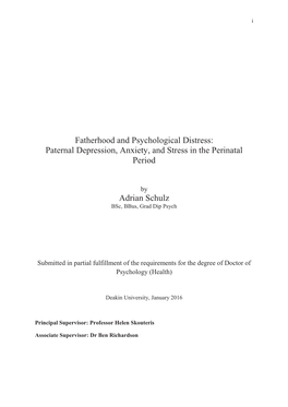 Paternal Depression, Anxiety, and Stress in the Perinatal Period