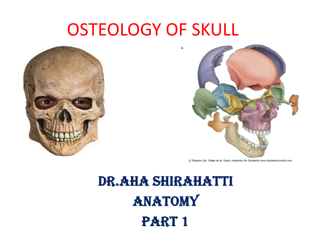 Osteology of Skull