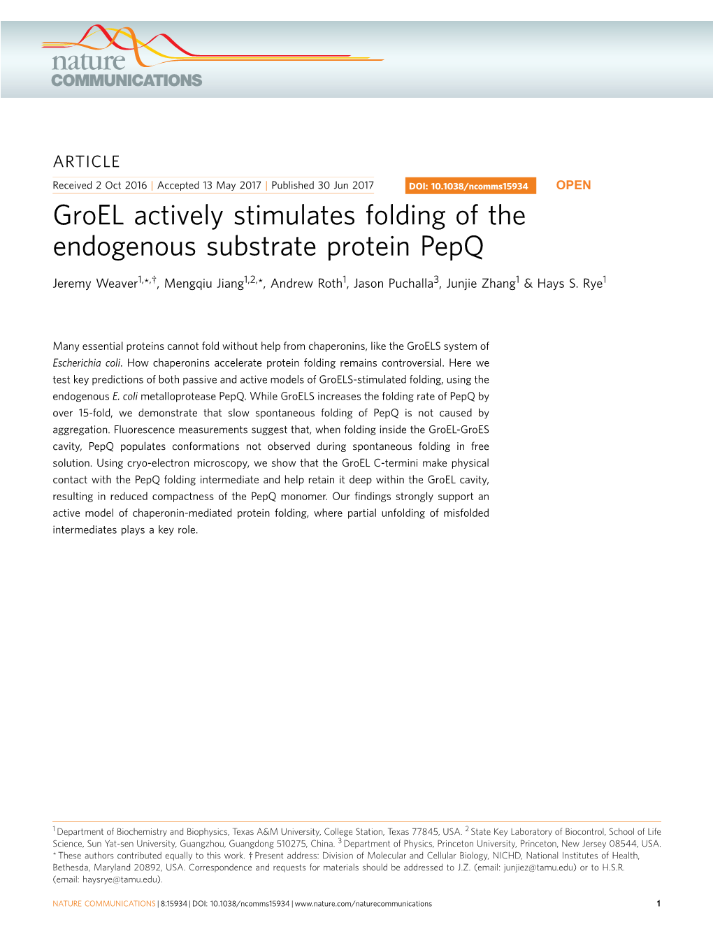 Groel Actively Stimulates Folding of the Endogenous Substrate Protein Pepq